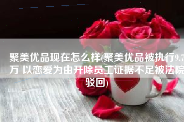 聚美优品现在怎么样(聚美优品被执行9.7万 以恋爱为由开除员工证据不足被法院驳回)