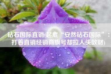 钻石国际直销(起底“安然钻石国际”：打着直销经销商旗号却拉人头敛财)