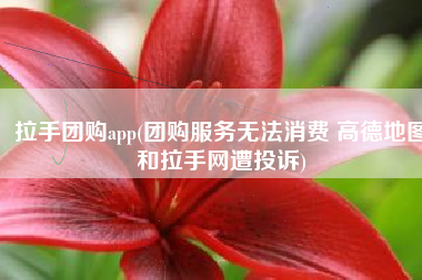 拉手团购app(团购服务无法消费 高德地图和拉手网遭投诉)