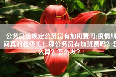 公务员法规定公务员有加班费吗(疫情期间真的超级忙！那公务员有加班费吗？怎么算？怎么发？)