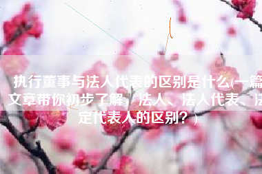 执行董事与法人代表的区别是什么(一篇文章带你初步了解，法人、法人代表、法定代表人的区别？)