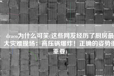 draco为什么可笑(这些网友经历了厨房最大灾难现场：高压锅爆炸！正确的姿势很重要)