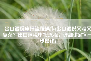 出口退税申报流程操作(出口退税又难又复杂？出口退税申报流程，详细讲解每一步操作)