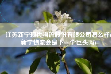 江苏新宁现代物流股份有限公司怎么样(新宁物流会是下一个巨头吗)
