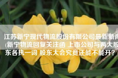 江苏新宁现代物流股份有限公司最新新闻(新宁物流回复关注函 上市公司与两大股东各执一词 股东大会究竟还能不能开？)