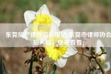 东莞房产律师咨询电话(东莞市律师协会招人啦，快来看看)