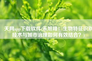 天网app下载软件(朱旭峰：生物特征识别技术与城市治理如何有效结合？)