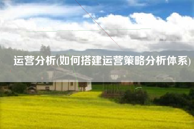 运营分析(如何搭建运营策略分析体系)