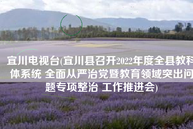 宜川电视台(宜川县召开2022年度全县教科体系统 全面从严治党暨教育领域突出问题专项整治 工作推进会)