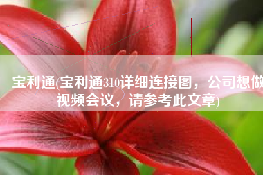 宝利通(宝利通310详细连接图，公司想做视频会议，请参考此文章)