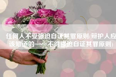任何人不受强迫自证其罪原则(辩护人应该知道的——不得强迫自证其罪原则)