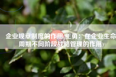 企业规章制度的作用(王勇：在企业生命周期不同阶段战略管理的作用)