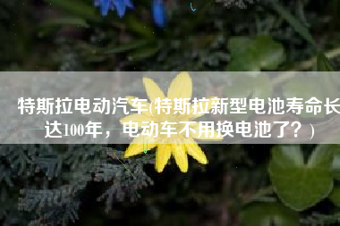 特斯拉电动汽车(特斯拉新型电池寿命长达100年，电动车不用换电池了？)