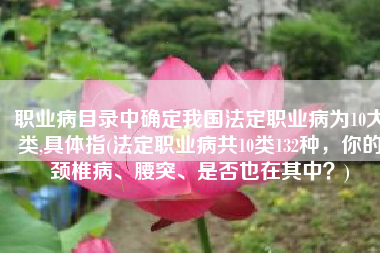 职业病目录中确定我国法定职业病为10大类,具体指(法定职业病共10类132种，你的颈椎病、腰突、是否也在其中？)