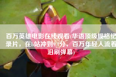 百万英雄电影在线观看(华语顶级规格纪录片，在b站冲到9.1分，百万年轻人流着泪刷弹幕)