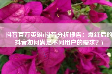 抖音百万英雄(抖音分析报告：爆红后的抖音如何满足不同用户的需求？)