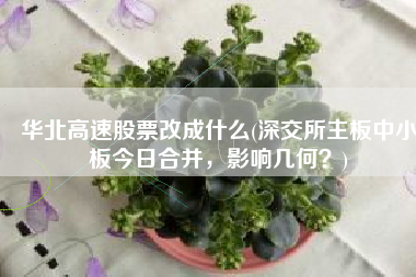 华北高速股票改成什么(深交所主板中小板今日合并，影响几何？)