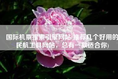 国际机票搜索引擎网站(推荐几个好用的民航工具网站，总有一款适合你)