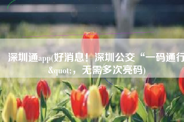 深圳通app(好消息！深圳公交“一码通行"，无需多次亮码)
