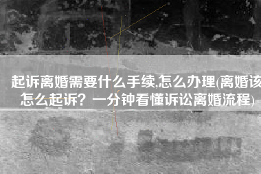 起诉离婚需要什么手续,怎么办理(离婚该怎么起诉？一分钟看懂诉讼离婚流程)