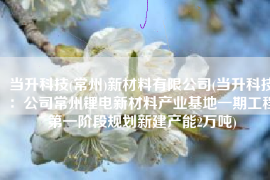 当升科技(常州)新材料有限公司(当升科技：公司常州锂电新材料产业基地一期工程第一阶段规划新建产能2万吨)