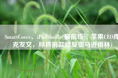 SmartCover、iPodShuffle(最前线 | 苹果CEO库克发文，称将捐款修复亚马逊雨林)