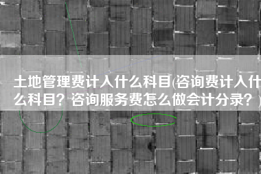 土地管理费计入什么科目(咨询费计入什么科目？咨询服务费怎么做会计分录？)