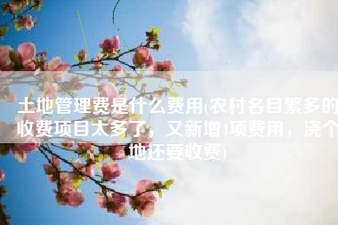 土地管理费是什么费用(农村名目繁多的收费项目太多了，又新增4项费用，浇个地还要收费)