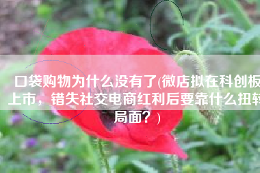 口袋购物为什么没有了(微店拟在科创板上市，错失社交电商红利后要靠什么扭转局面？)