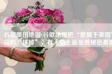 谷歌美国地图(谷歌地图把“曾属于美国”岛屿“抹掉”，有人猜上面是俄秘密基地)