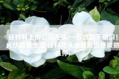 硅材料上市公司龙头(一石激起千层浪！光伏政策生变 硅料龙头通威股份竟被摁跌停)