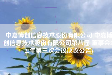 中嘉博创信息技术股份有限公司(中嘉博创信息技术股份有限公司第八届 董事会2022年第三次会议决议公告)