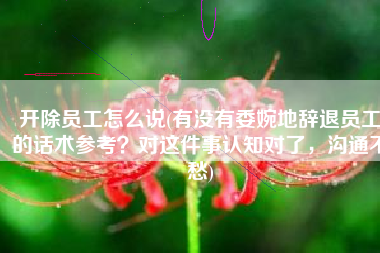 开除员工怎么说(有没有委婉地辞退员工的话术参考？对这件事认知对了，沟通不愁)