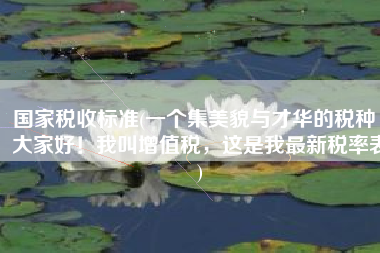 国家税收标准(一个集美貌与才华的税种｜大家好！我叫增值税，这是我最新税率表)