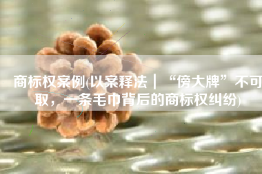 商标权案例(以案释法｜“傍大牌”不可取，一条毛巾背后的商标权纠纷)