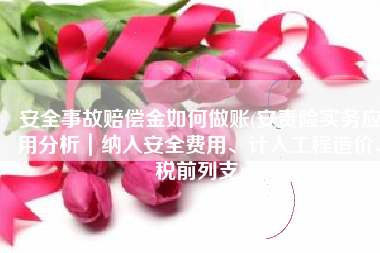 安全事故赔偿金如何做账(安责险实务应用分析｜纳入安全费用、计入工程造价、税前列支)