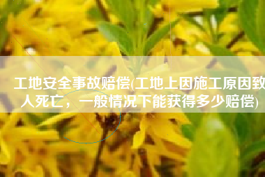 工地安全事故赔偿(工地上因施工原因致人死亡，一般情况下能获得多少赔偿)