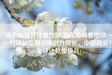 项兵站在月球看地球(站在月球看地球——对话长江商学院创办院长、中国商业与全球化教授项兵)