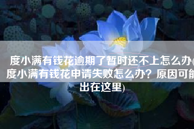 度小满有钱花逾期了暂时还不上怎么办(度小满有钱花申请失败怎么办？原因可能出在这里)