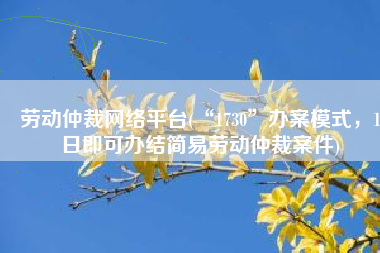 劳动仲裁网络平台(“1730”办案模式，1日即可办结简易劳动仲裁案件)