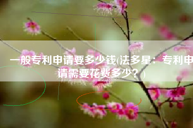 一般专利申请要多少钱(法多星：专利申请需要花费多少？)