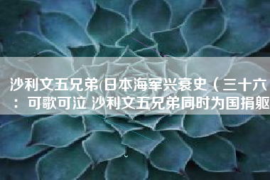 沙利文五兄弟(日本海军兴衰史（三十六）：可歌可泣 沙利文五兄弟同时为国捐躯)