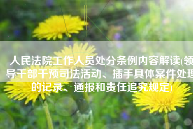 人民法院工作人员处分条例内容解读(领导干部干预司法活动、插手具体案件处理的记录、通报和责任追究规定)