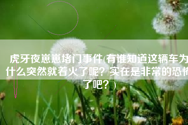 虎牙夜崽崽堵门事件(有谁知道这辆车为什么突然就着火了呢？实在是非常的恐怖了吧？)