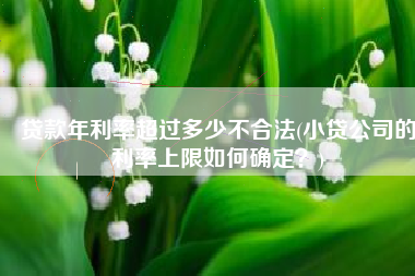 贷款年利率超过多少不合法(小贷公司的利率上限如何确定？)