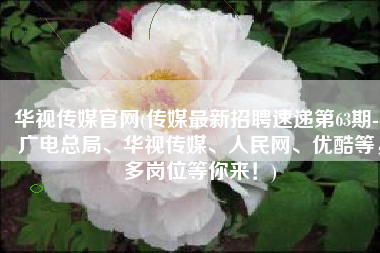 华视传媒官网(传媒最新招聘速递第63期--广电总局、华视传媒、人民网、优酷等，多岗位等你来！)