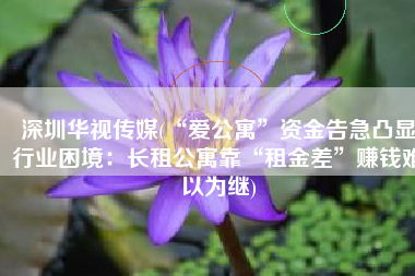 深圳华视传媒(“爱公寓”资金告急凸显行业困境：长租公寓靠“租金差”赚钱难以为继)