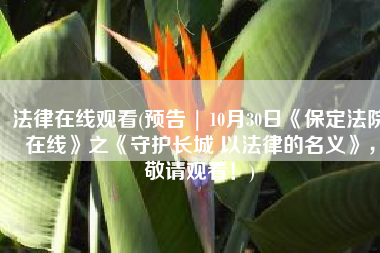 法律在线观看(预告 | 10月30日《保定法院在线》之《守护长城 以法律的名义》，敬请观看！)