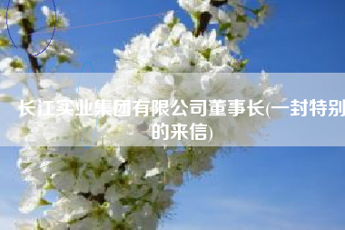 长江实业集团有限公司董事长(一封特别的来信)