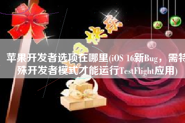 苹果开发者选项在哪里(iOS 16新Bug，需特殊开发者模式才能运行TestFlight应用)